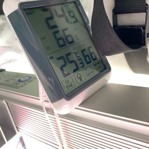 Amnesia Haze Auto growlog timeline photo