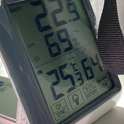 Amnesia Haze Auto growlog timeline photo