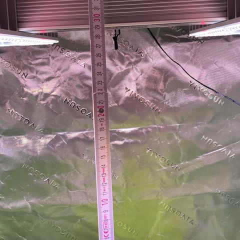 Amnesia Haze Auto growlog timeline photo