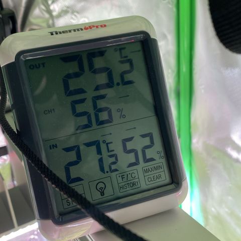 Amnesia Haze Auto growlog timeline photo