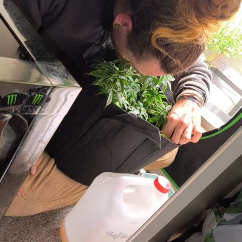 BLDRM growlog timeline photo