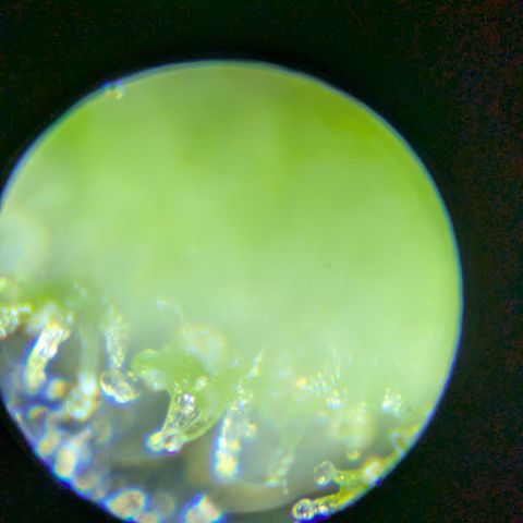 BLDRM growlog timeline photo