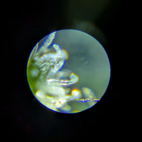 #2 PINEX growlog timeline photo