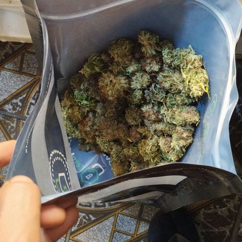 Critical growlog timeline photo