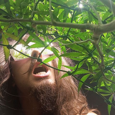 Mikasa gen 3 growlog photo: Extreme vibes