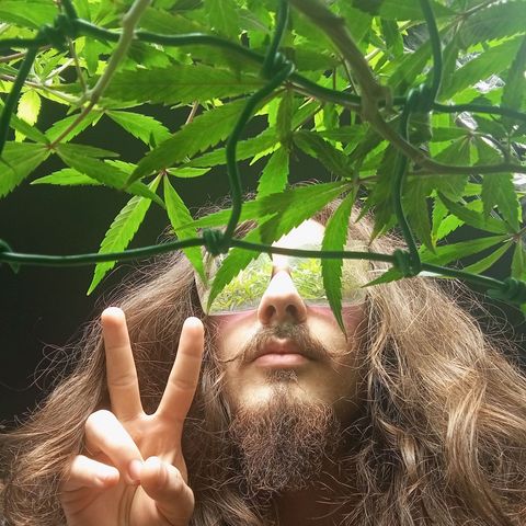 Mikasa gen 3 growlog photo: Extreme vibes