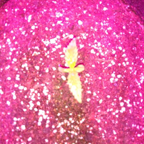 La Habana Auto  growlog timeline photo