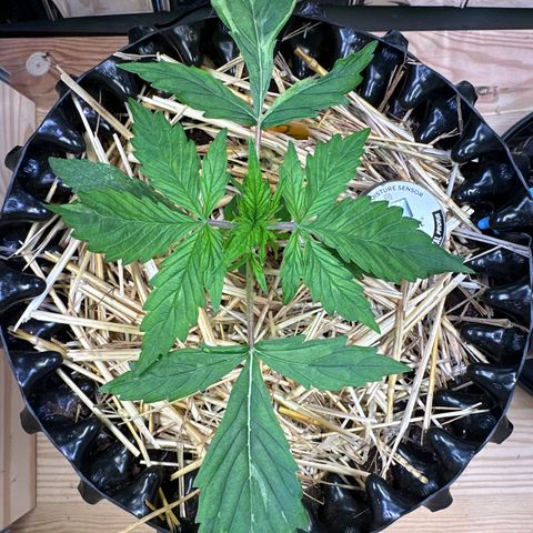 #2 growlog timeline photo