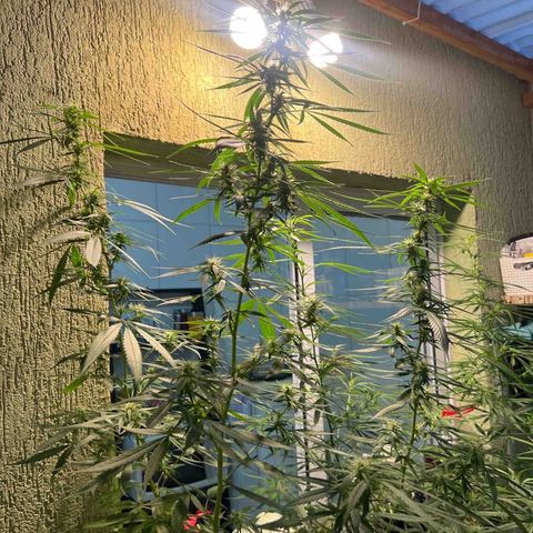 Prensa Dinho growlog photo: Seguimos 😇😀