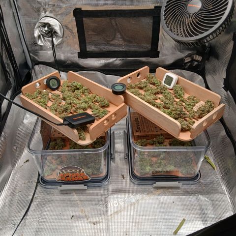 Blue-zushi growlog timeline photo