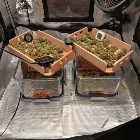 Blue-zushi growlog timeline photo