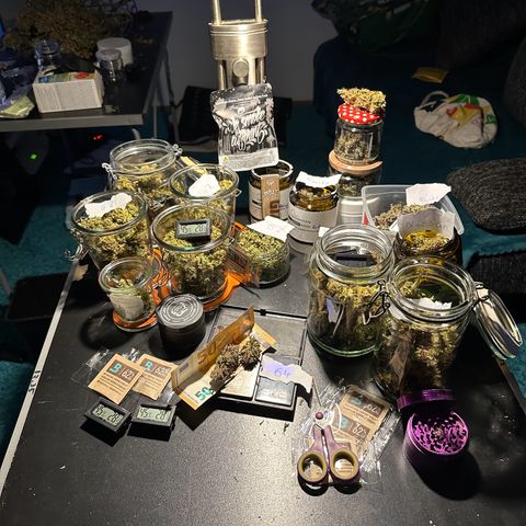 Liberty Haze growlog timeline photo