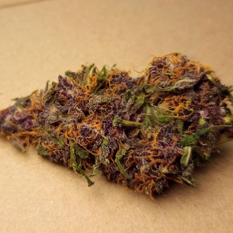Lemon Cherry Cookies growlog timeline photo