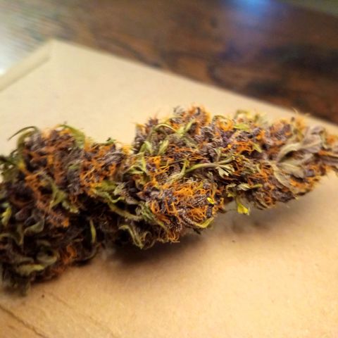 Lemon Cherry Cookies growlog timeline photo