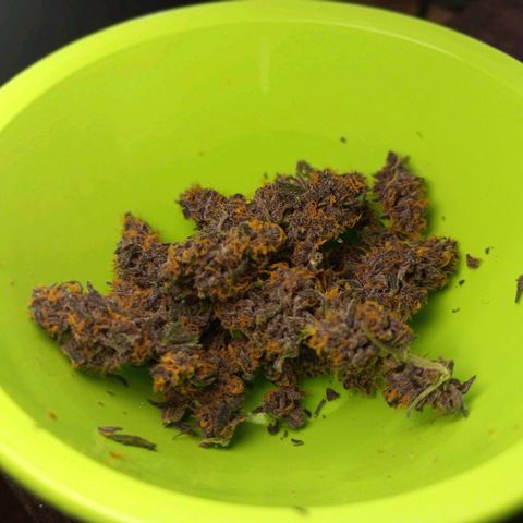 Lemon Cherry Cookies growlog timeline photo