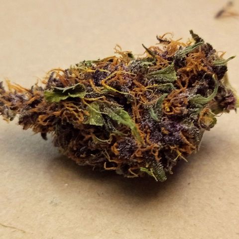 Lemon Cherry Cookies growlog timeline photo