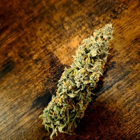 Gorilla Cookie Auto growlog timeline photo