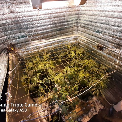 Pablo growlog timeline photo