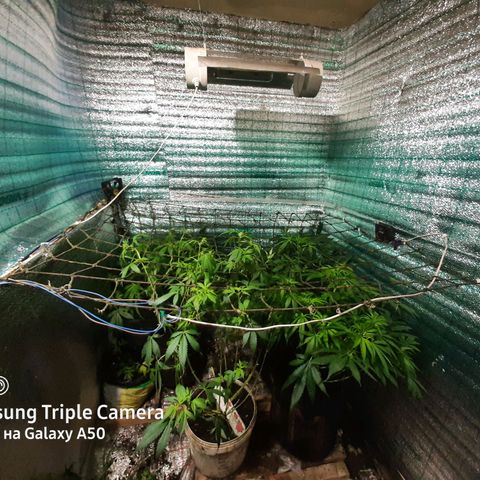Pablo growlog timeline photo