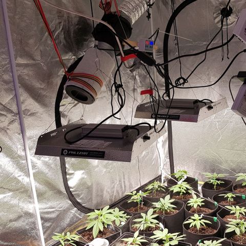 Mix growlog timeline photo