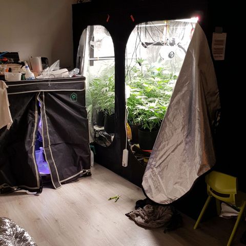 Mix growlog timeline photo
