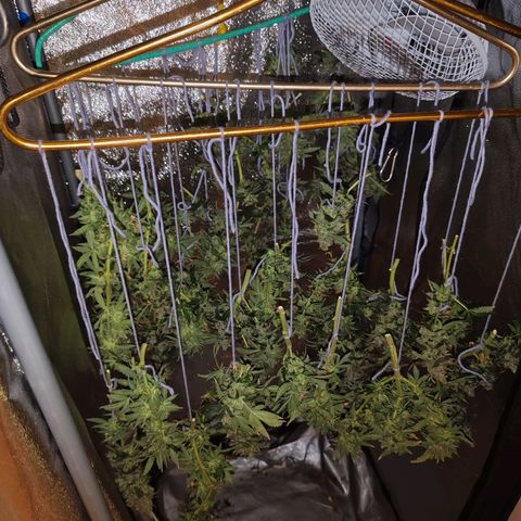 Сеня growlog timeline photo