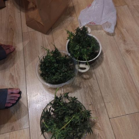 Сеня growlog timeline photo