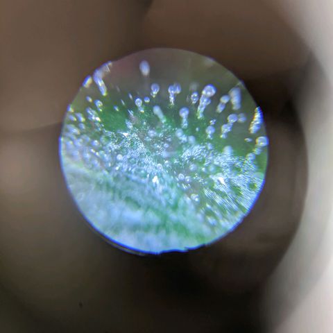 Sno-G Kush growlog photo: A shot of one of the main colas as well as a few trichy shots 