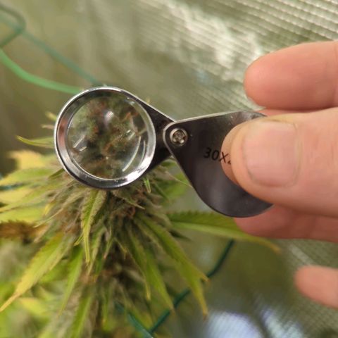 Moby Dick 120x120 9 autopot growlog timeline photo