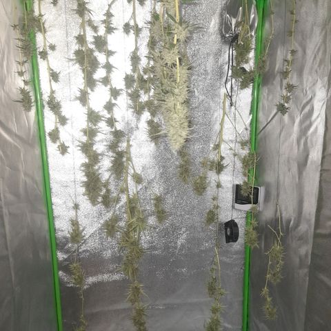 Strawberry banana  growlog timeline photo