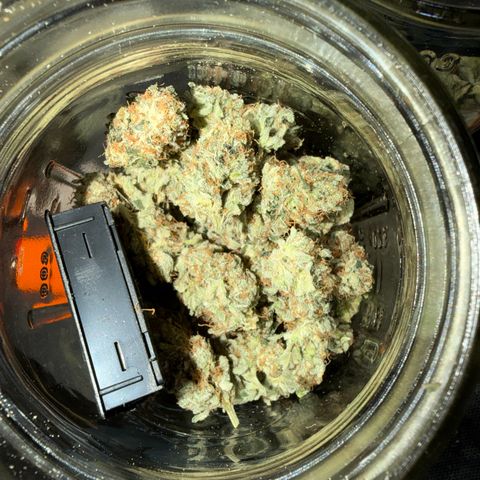 Planet of the Grapes RBX growlog photo: Curing burping getting her done