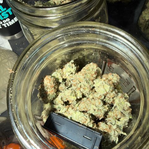 Planet of the Grapes RBX growlog photo: Curing burping getting her done