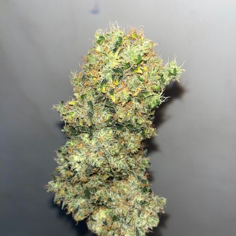 CannaBusta Rhymes  growlog timeline photo