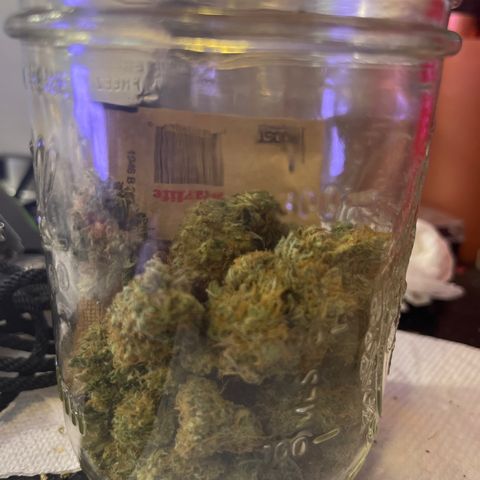Weedney Houston  growlog timeline photo