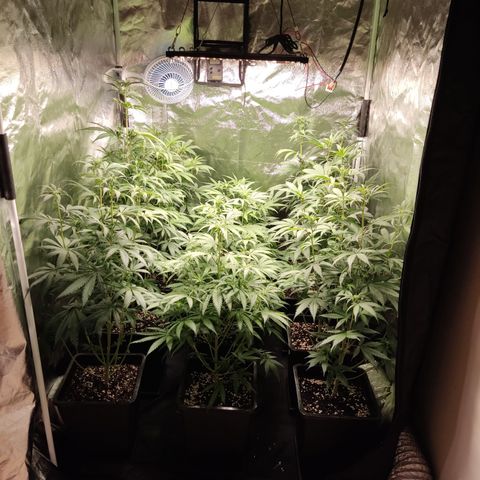 Og 18  growlog timeline photo