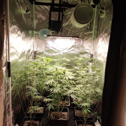 Og 18  growlog timeline photo