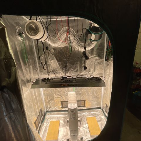 Mufasa growlog photo: Add heater