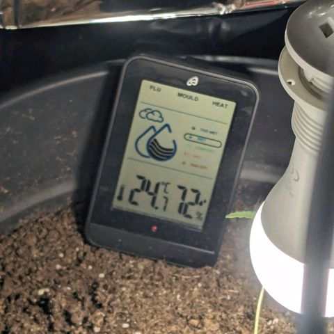 PowPow Smaragdgun Nr.1 growlog timeline photo