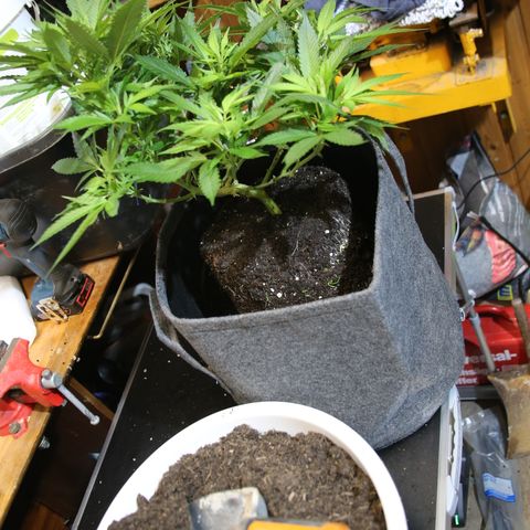 AK47 growlog timeline photo