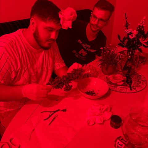 Der Titan / Big Bud 🔥🙏🔥 growlog photo: Haha Party Veranstaltung 
