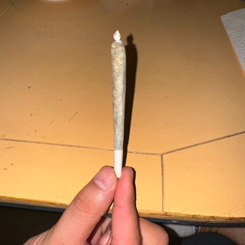 Der Titan / Big Bud 🔥🙏🔥 growlog photo: Der erste Dübel 💨