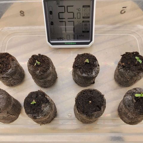 Bruce Banner  #5 growlog timeline photo
