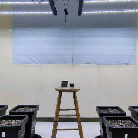 Bruce Banner  #5 growlog timeline photo
