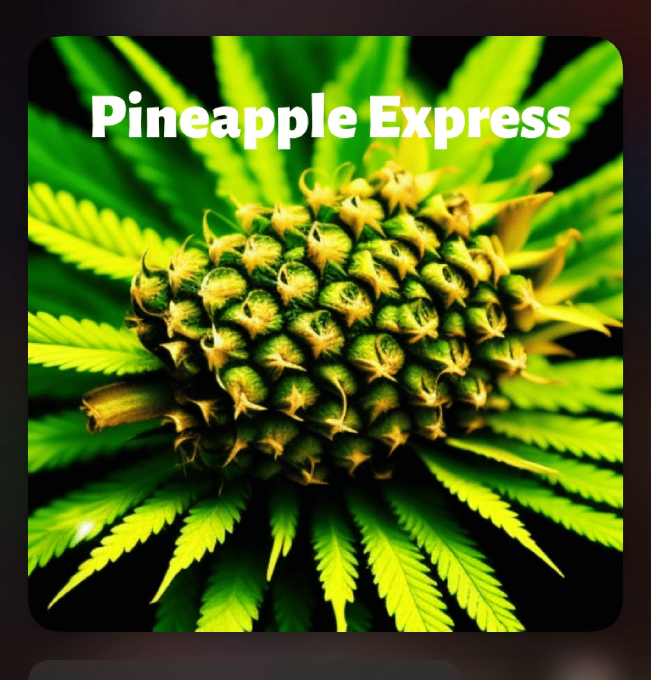 Pineapple Express (A) #2 growlog header