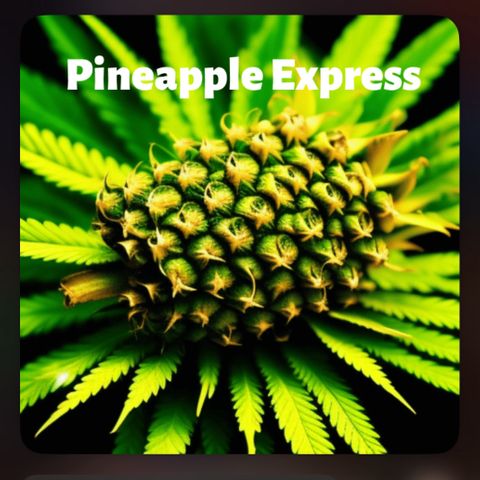 Pineapple Express (A) #2 growlog timeline photo