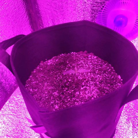 Ирмочка growlog timeline photo