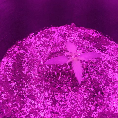 Ирмочка growlog timeline photo