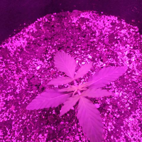 Ирмочка growlog timeline photo