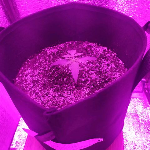 Ирмочка growlog timeline photo