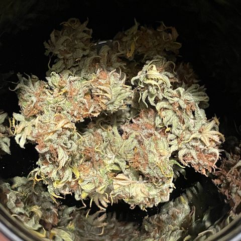 Lava Cake growlog photo: 19 Gramm